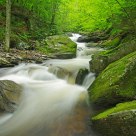 A Creek Divided